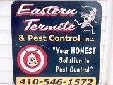 Easten Termite.jpg